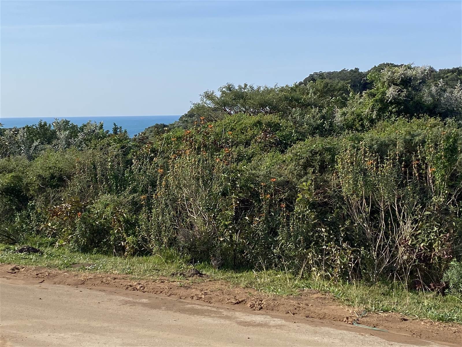 716 m² Land available in Cintsa photo number 7