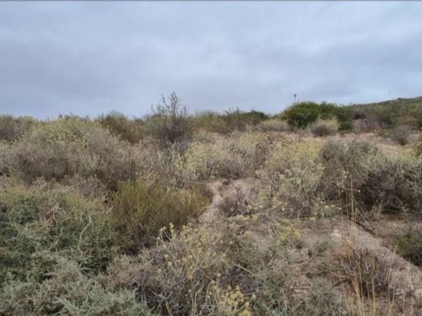 356 m² Land available in St Helena Views