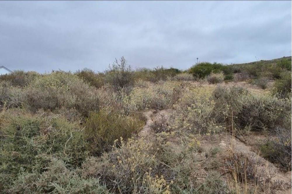 356 m² Land available in St Helena Views photo number 1