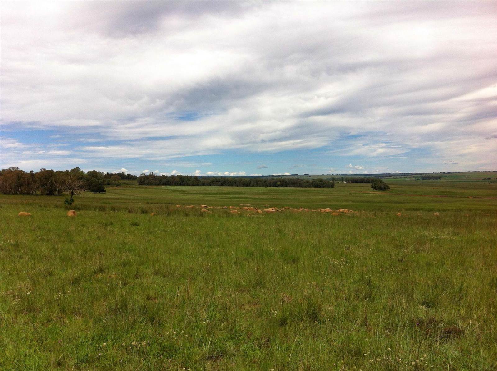 8908 m² Land available in Middelburg photo number 11