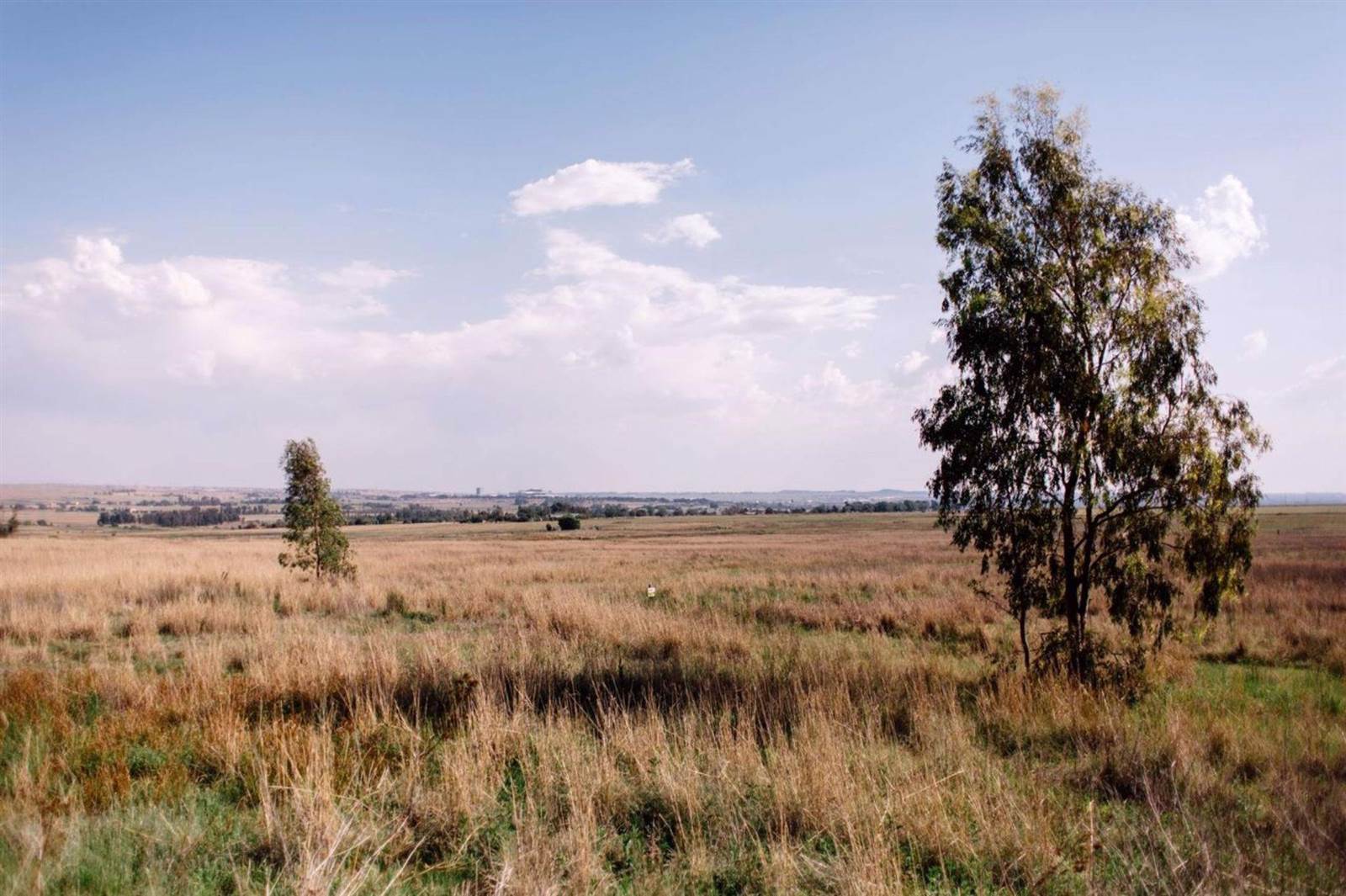 8908 m² Land available in Middelburg photo number 15