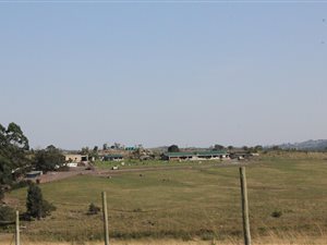 129.9 ha Farm in Port Shepstone