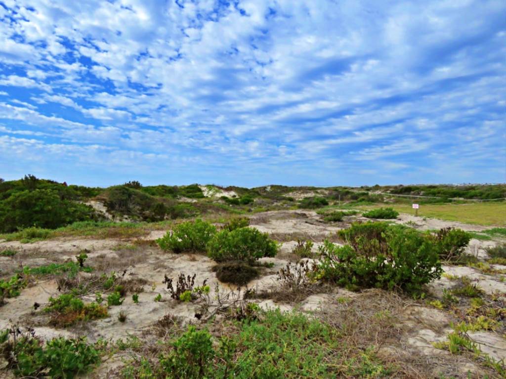 730 m² Land available in Struisbaai photo number 4