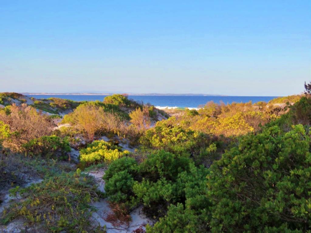 730 m² Land available in Struisbaai photo number 10
