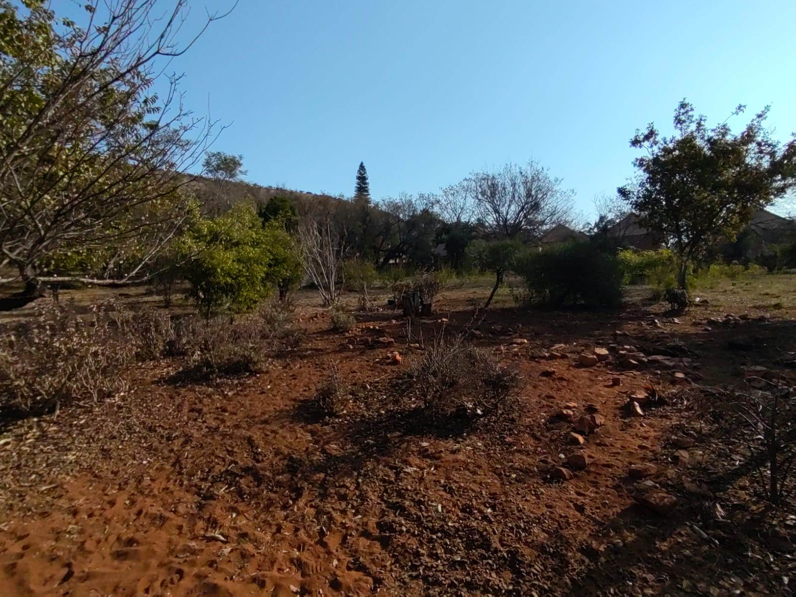 8.5 ha Land available in Amandasig photo number 20