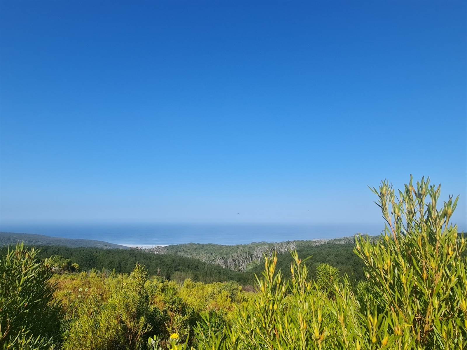 4105 m² Land available in Pezula Private Estate photo number 3