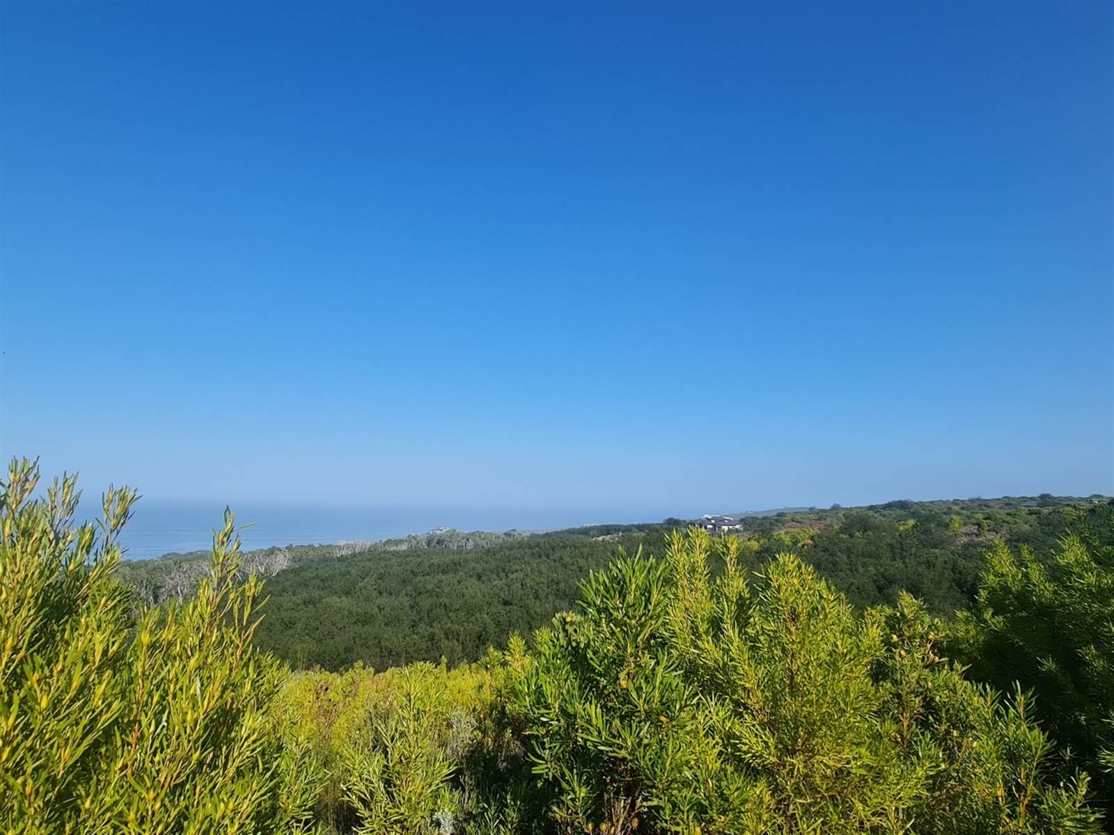 4105 m² Land available in Pezula Private Estate photo number 2