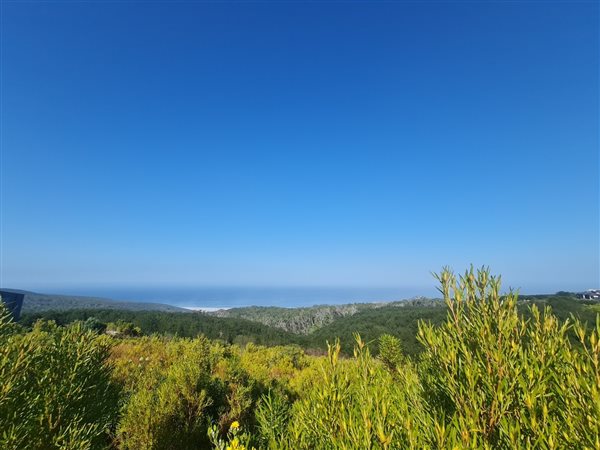 4105 m² Land available in Pezula Private Estate