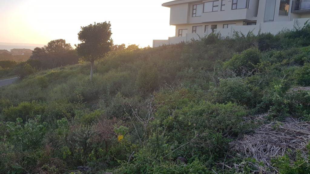 1008 m² Land available in Outeniqua Strand photo number 13