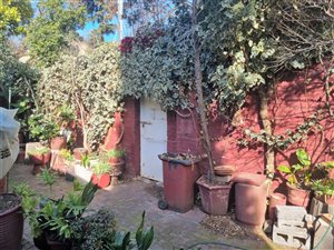 3 Bed House in Bellevue