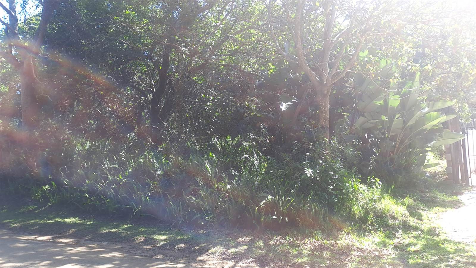 1086 m² Land available in Leisure Bay photo number 5