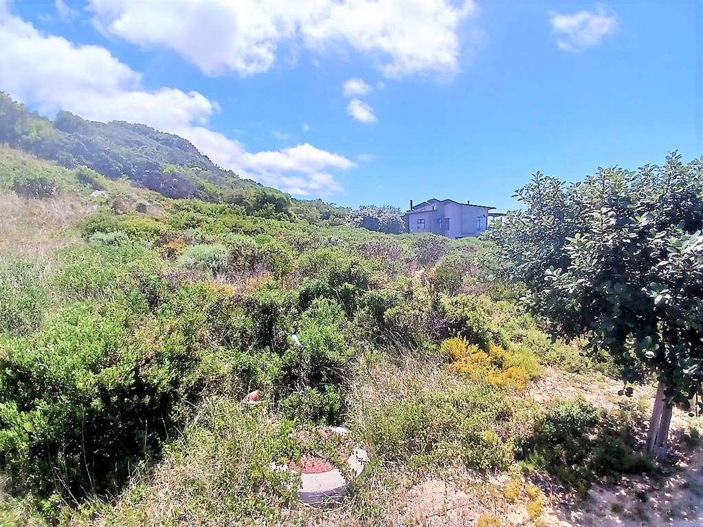 847 m² Land available in Stilbaai photo number 4