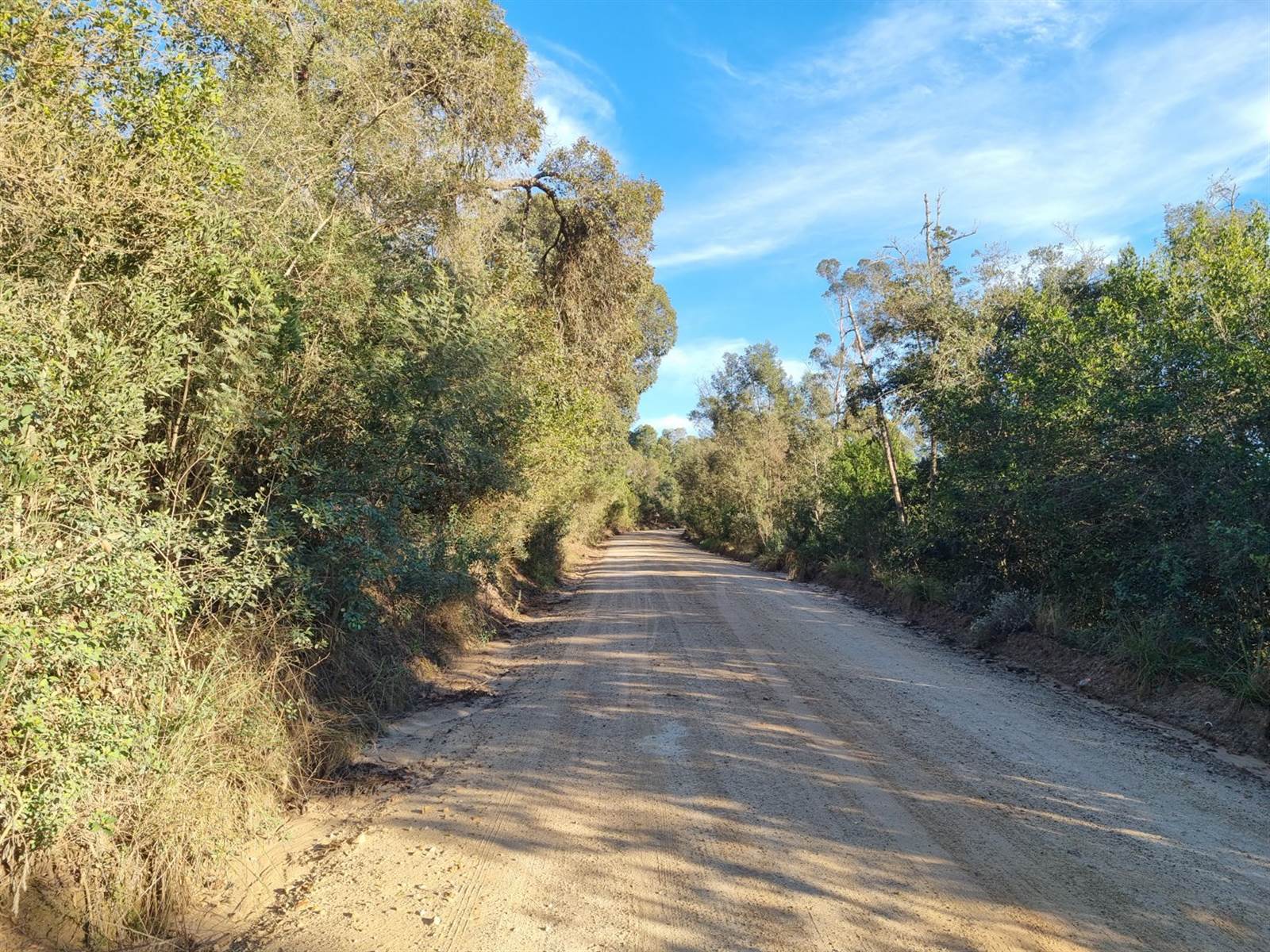 3.8 ha Farm in Knysna Central photo number 6