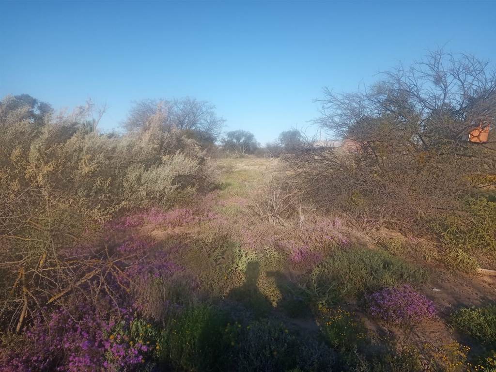 3430 m² Land available in Steytlerville photo number 5