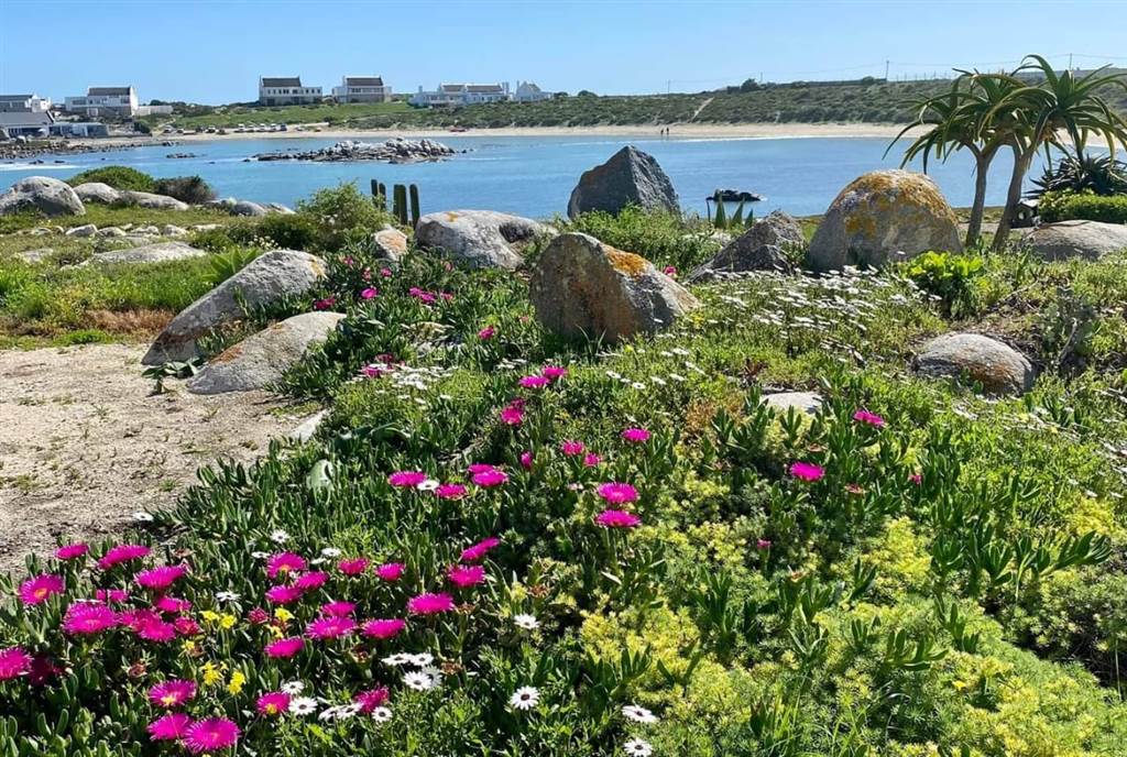 2.5 ha Land available in Jacobsbaai photo number 5
