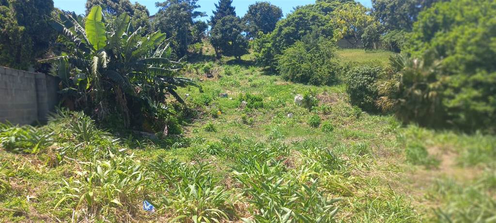 1842 m² Land available in Malvern photo number 4