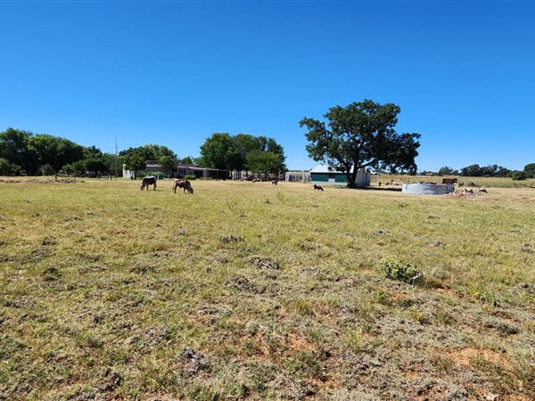 12.8 ha Farm in Bloemfontein
