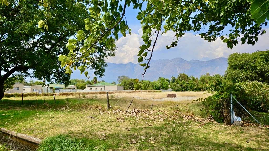 1784 m² Land available in Wolseley photo number 5
