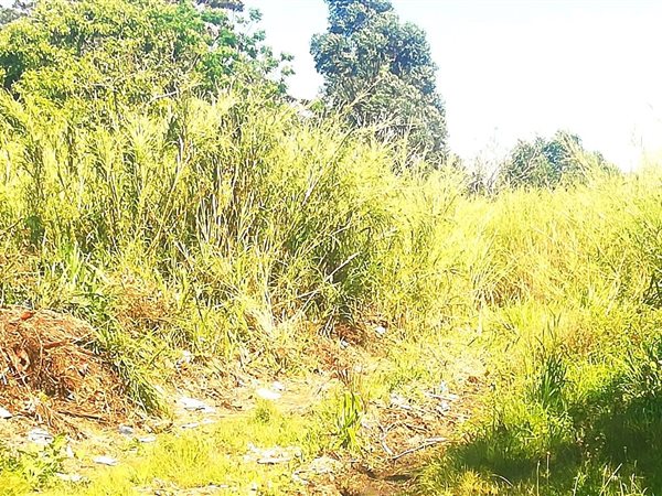 4.3 ha Land available in Port Shepstone