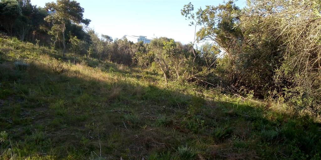 1.2 ha Land available in Great Brak River photo number 4