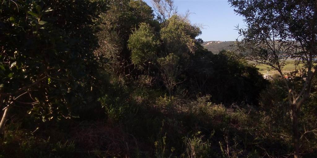 1.2 ha Land available in Great Brak River photo number 16