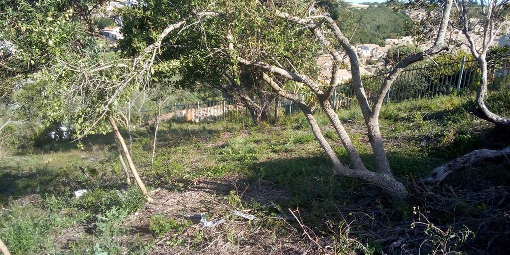 1.2 ha Land available in Great Brak River photo number 10