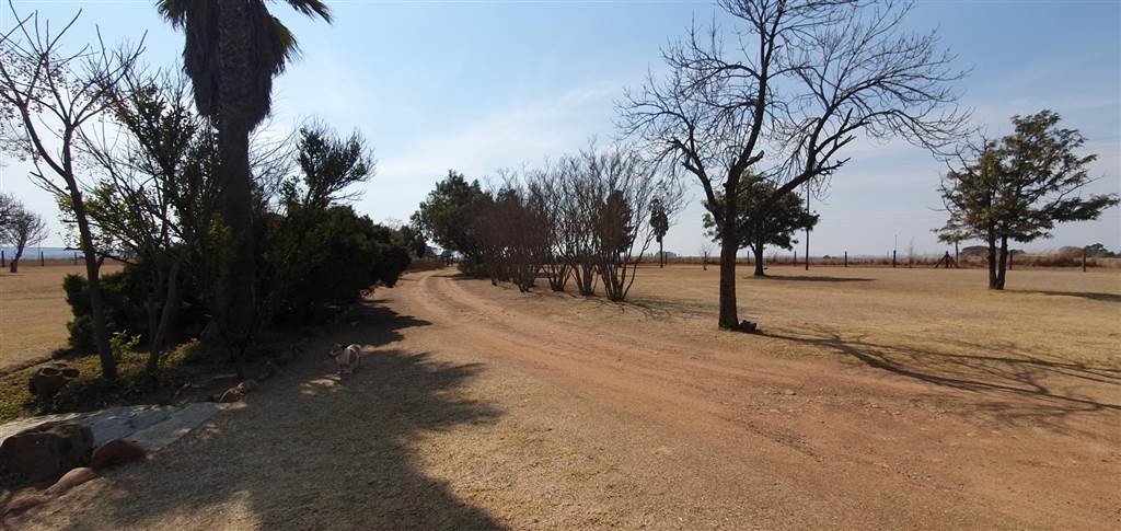 21.4 ha Farm in Witbank Central photo number 6
