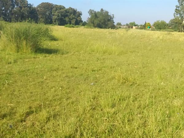 8 094 m² Land available in Riversdale
