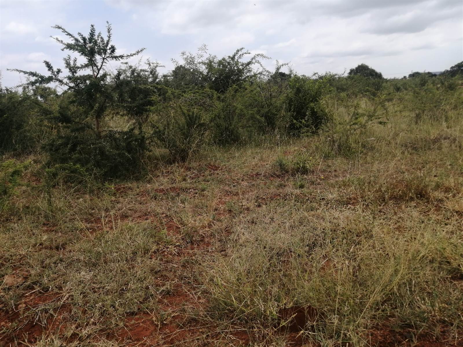 512 m² Land available in Lebowakgomo photo number 4