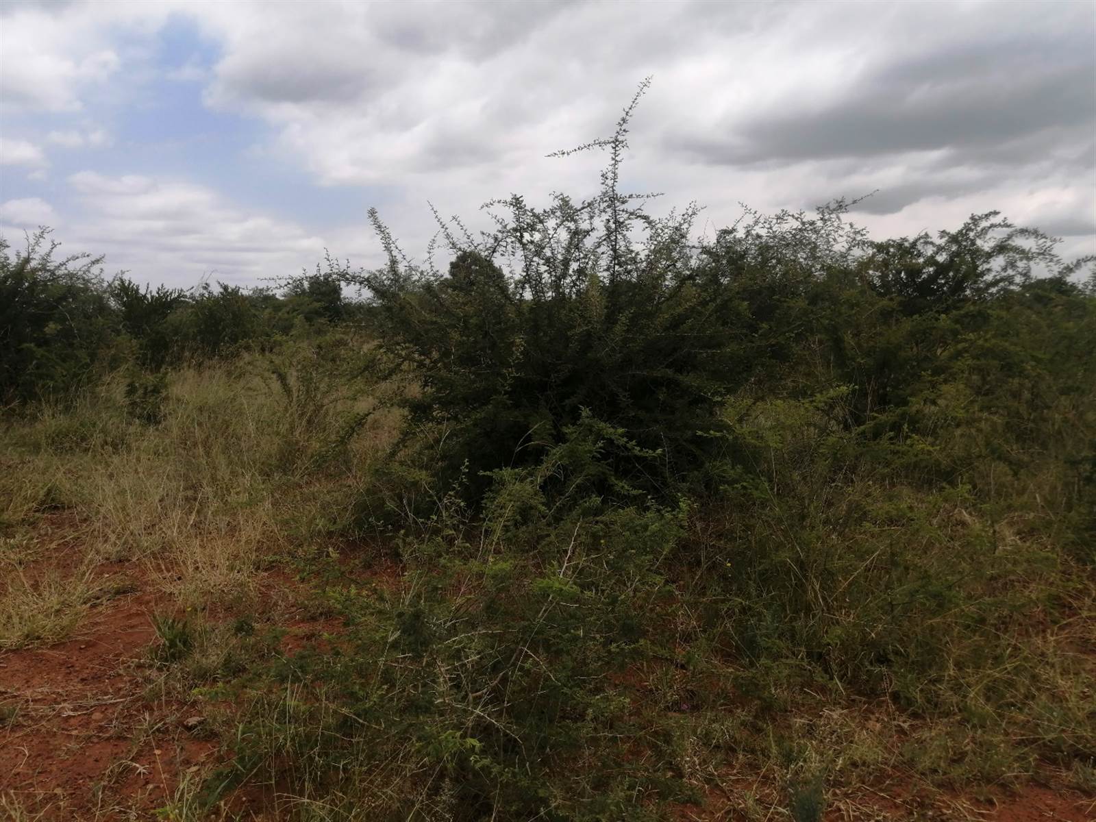 512 m² Land available in Lebowakgomo photo number 3