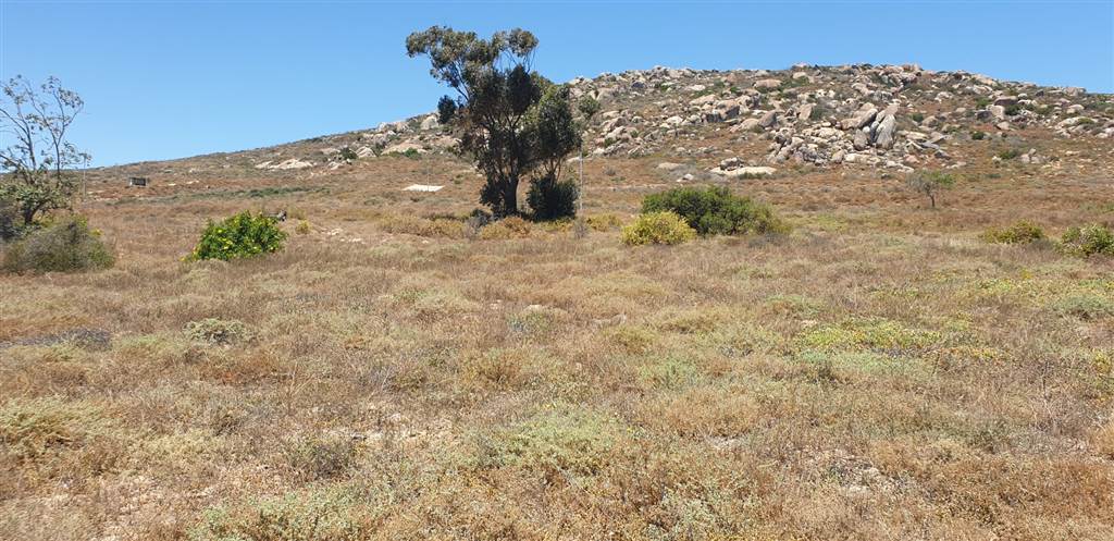428 m² Land available in St Helena Views photo number 6