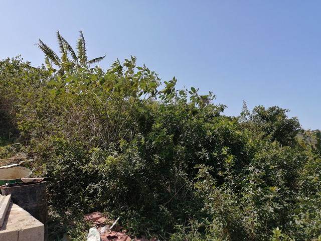 2292 m² Land available in La Mercy photo number 2