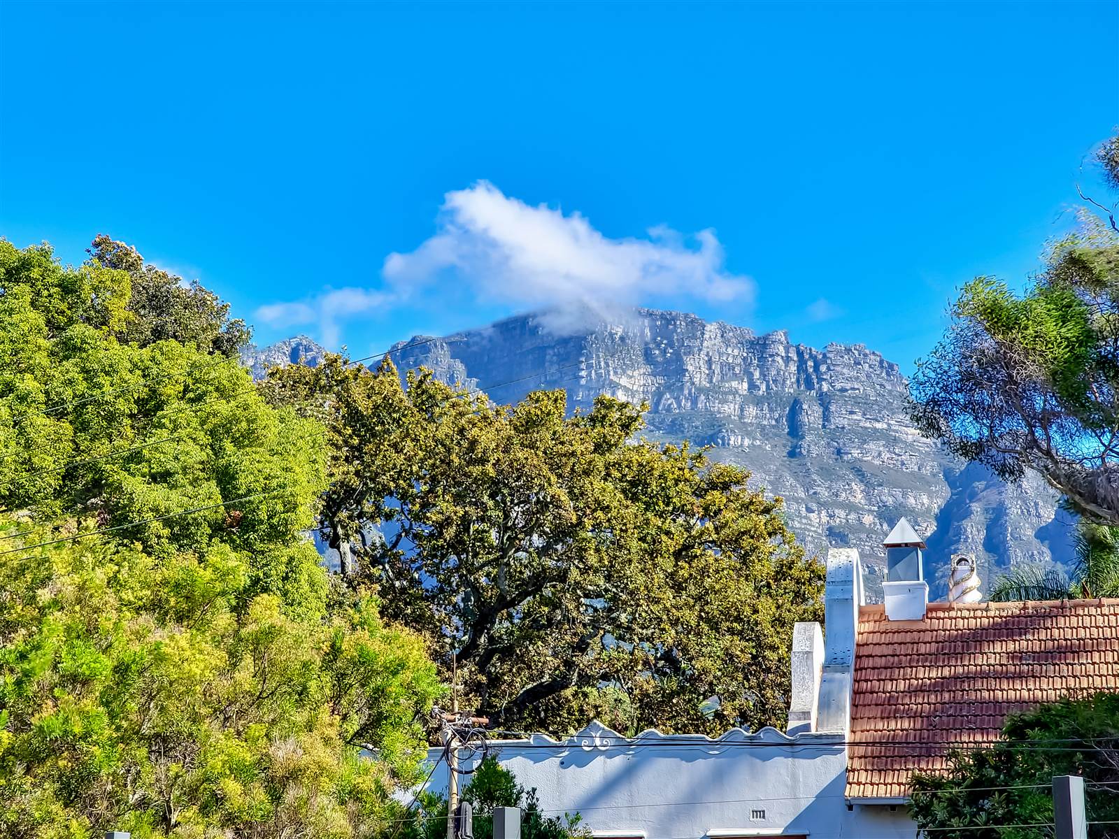 1 Bed Apartment in Newlands photo number 20