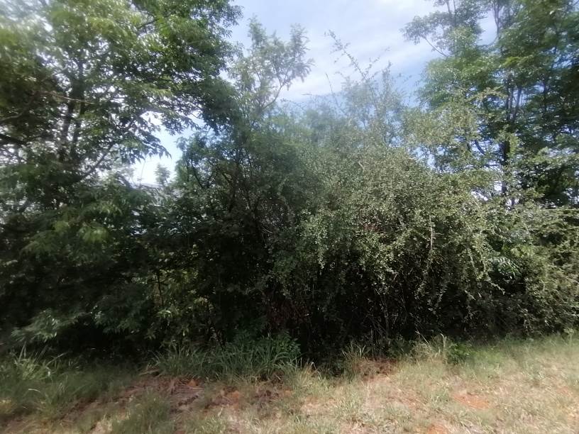 1020 m² Land available in Kosmos photo number 1