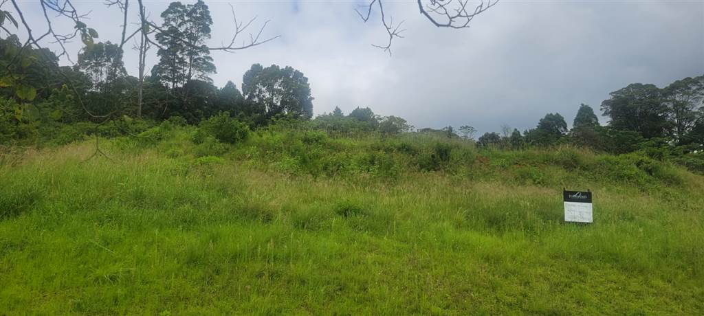 4022 m² Land available in Alverstone photo number 11