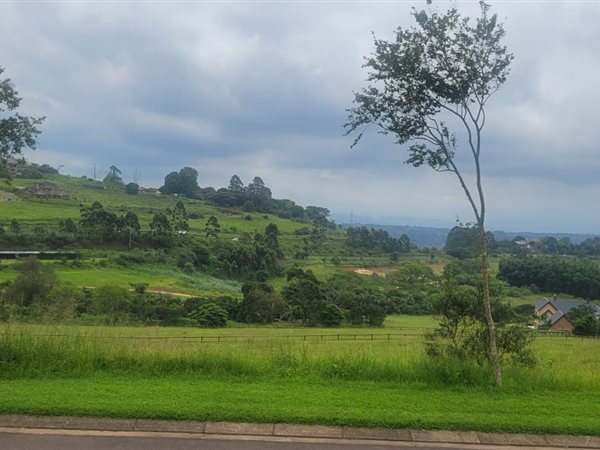 4022 m² Land available in Alverstone