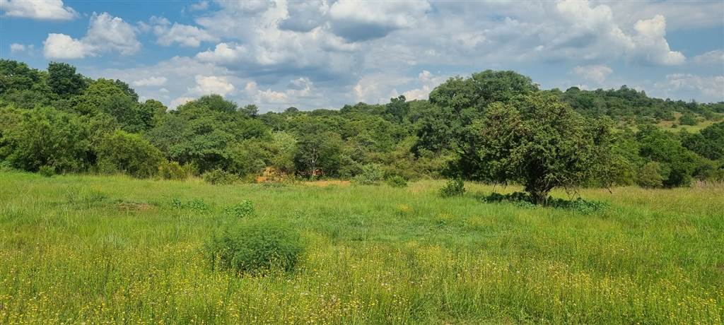 1000 m² Land available in Boschkop photo number 2