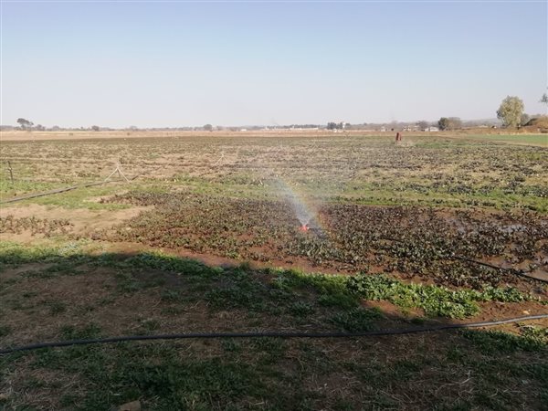 11 ha Farm in Potchefstroom Central