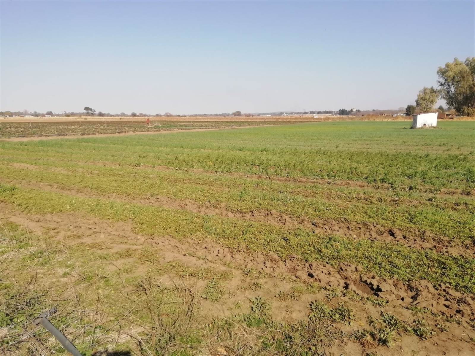 11 ha Farm in Potchefstroom Central photo number 2