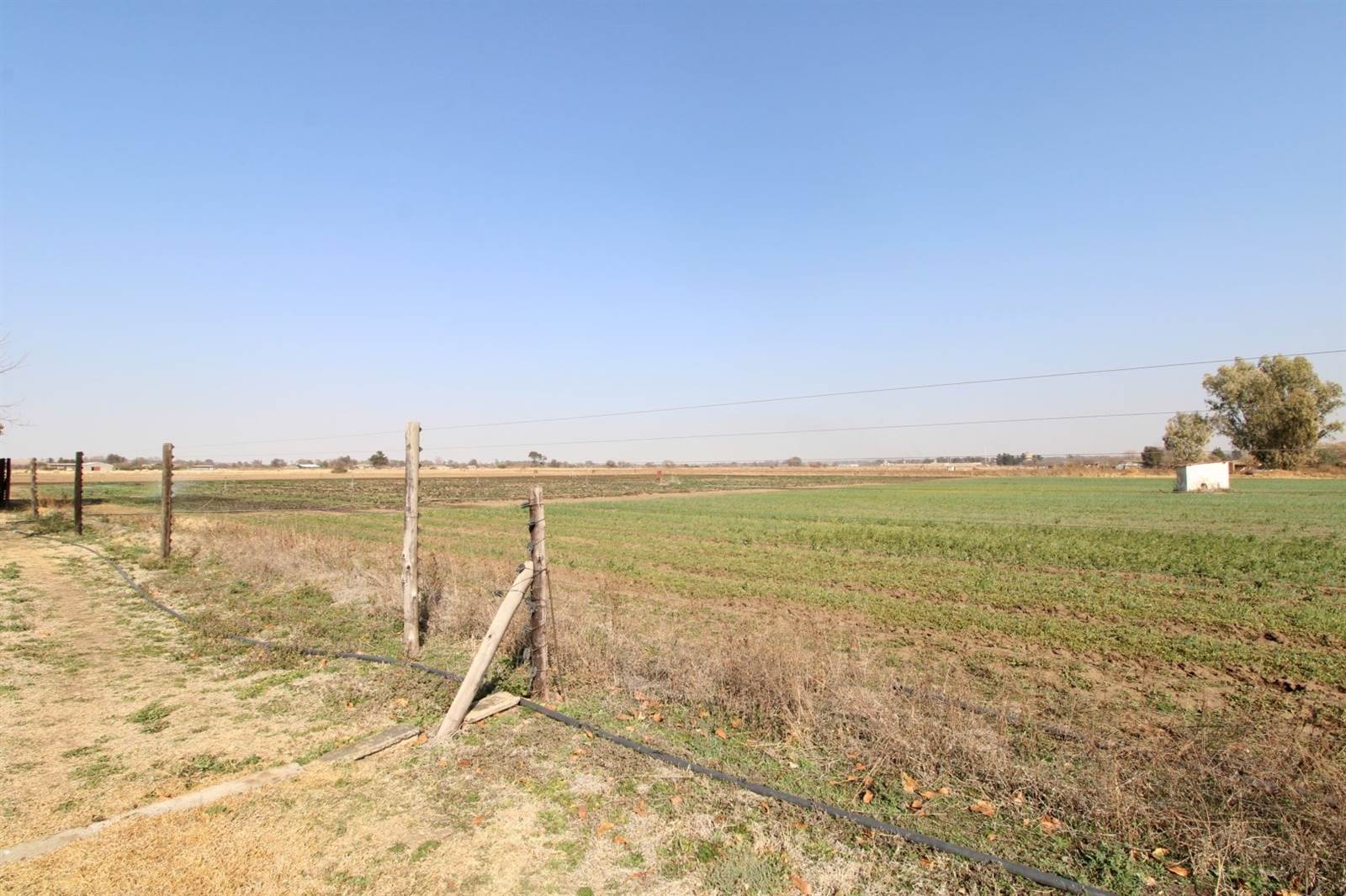 11 ha Farm in Potchefstroom Central photo number 6