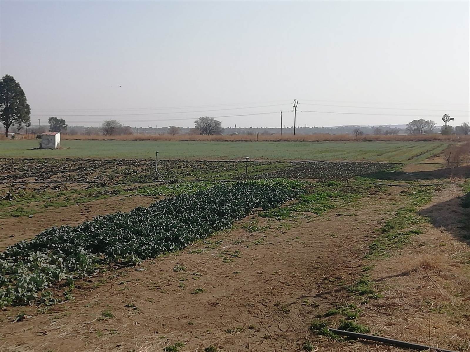 11 ha Farm in Potchefstroom Central photo number 4
