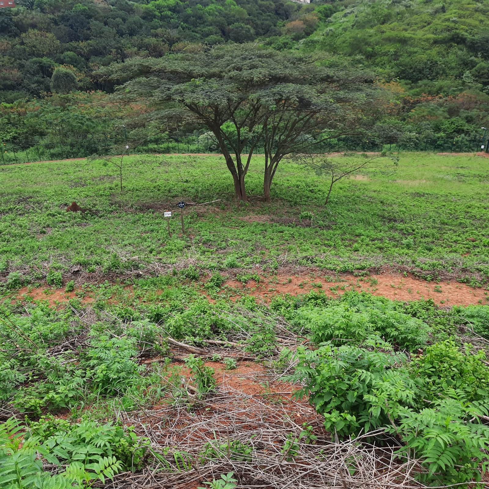 873 m² Land available in Kindlewood Estate photo number 8