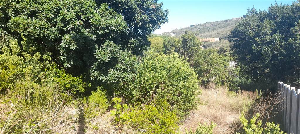 866 m² Land available in Great Brak River photo number 11