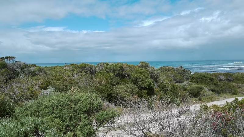 4 ha Land available in Gansbaai and surrounds photo number 6