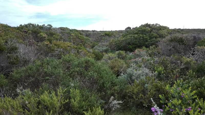 4 ha Land available in Gansbaai and surrounds photo number 11