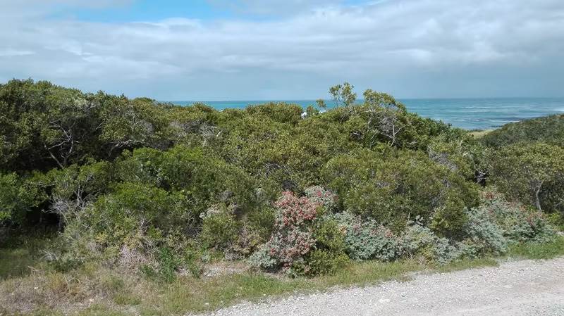 4 ha Land available in Gansbaai and surrounds photo number 4