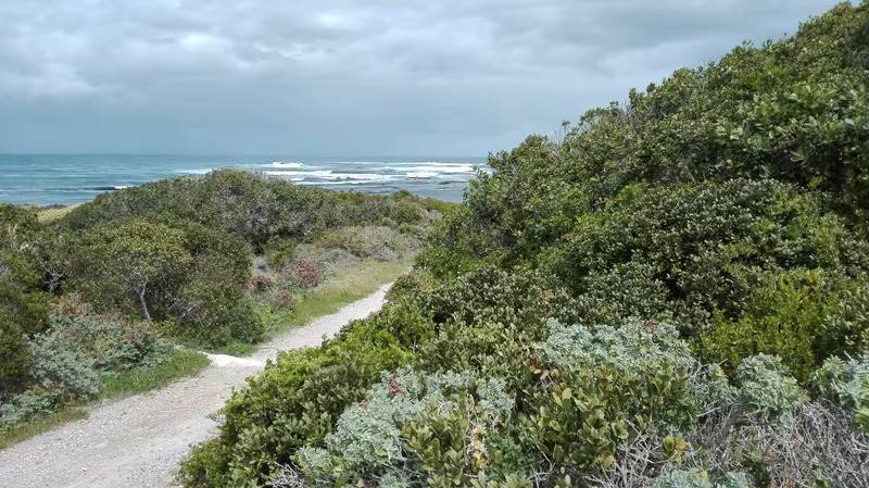 4 ha Land available in Gansbaai and surrounds photo number 7