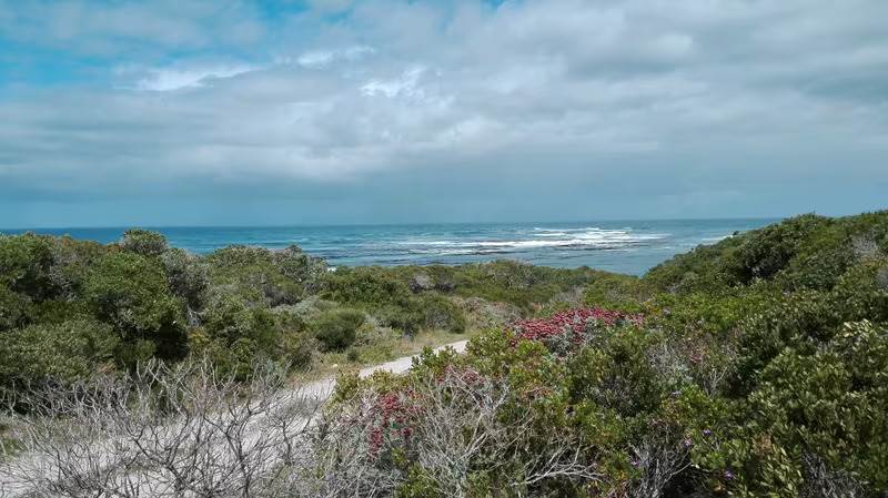4 ha Land available in Gansbaai and surrounds photo number 1