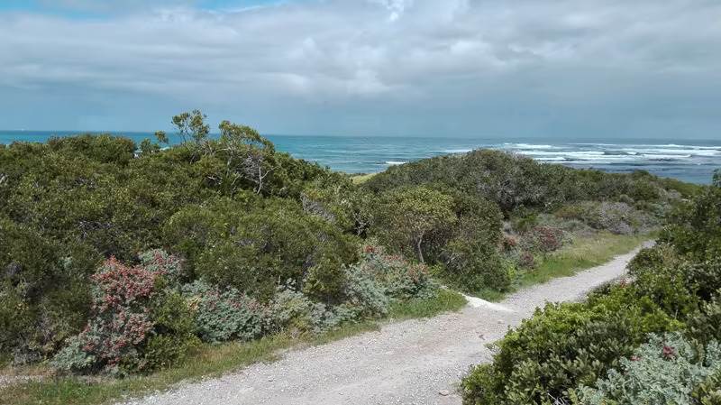 4 ha Land available in Gansbaai and surrounds photo number 5
