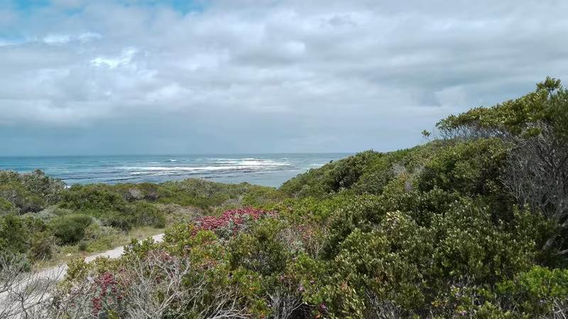 4 ha Land available in Gansbaai and surrounds photo number 8